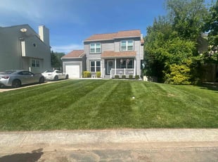 Brian T.'s lawn care service result