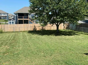 Dora N.'s grass maintenance service result