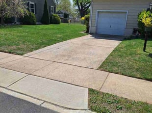 Kathy H.'s lawn care services service result
