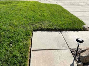 William Y.'s lawn maintenance service result