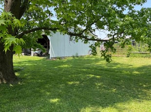 Giselly S.'s lawn service service result