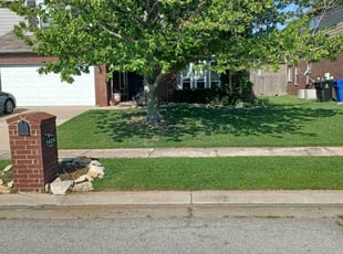 Misty A.'s grass cutting service result