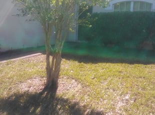 Harold P.'s Bush Trimming service result