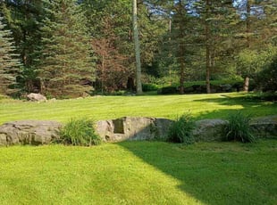 Teddy T.'s grass cutting service result