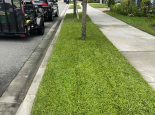 Nolan D.'s turf care service result