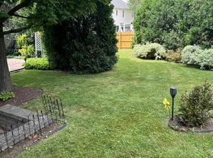 Tom Z.'s grass maintenance service result