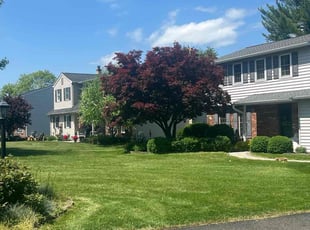 Jeffrey Z.'s turf care service result