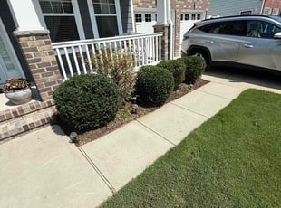 Bharti P.'s Bush Trimming service result