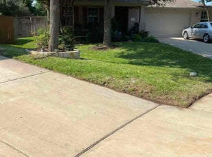 Lisa R.'s grass maintenance service result