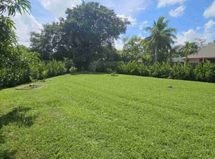 Megan K.'s lawn care service result
