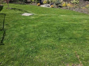 Gerald A.'s grass maintenance service result