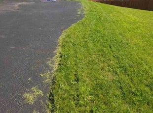 William C.'s lawn care services service result
