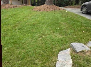 Debbie T.'s grass cutting service result
