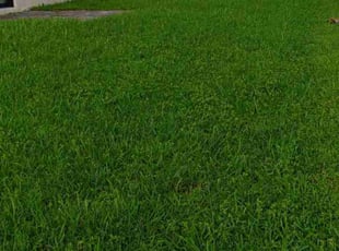 James D.'s lawn service service result