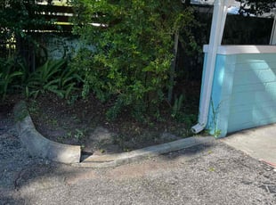 Marie A.'s Bush Trimming service result