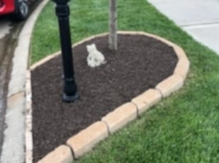 Joshua B.'s Flower Bed Weeding service result