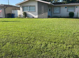 Nelia M.'s grass maintenance service result