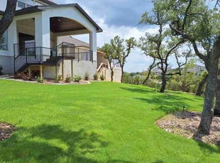 Tammy C.'s turf maintenance service result