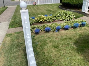 Ori H.'s turf care service result