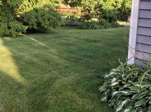 Amy G.'s lawn care service result