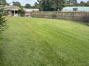 Jennifer N.'s grass maintenance service result