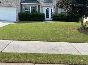 Casey B.'s grass cutting service result