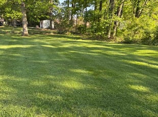 Donna P.'s lawn service service result