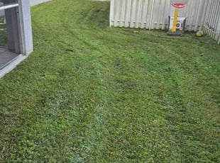 Fallon R.'s turf maintenance service result