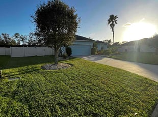 Nabilla G.'s grass cutting service result