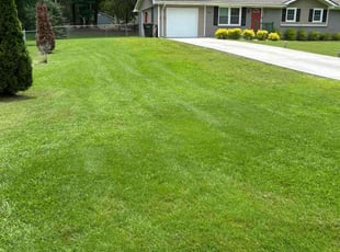 Jessica J.'s turf care service result