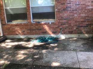 Stephine S.'s Leaf Removal service result