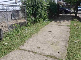 Lilah C.'s lawn service service result