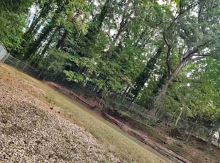 Wyatt M.'s grass maintenance service result