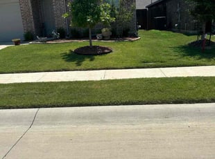 Robin A.'s turf care service result