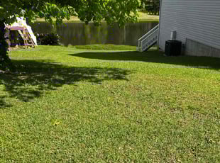 Xzaiver J.'s lawn care service result