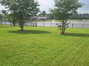 Terry J.'s lawn maintenance service result