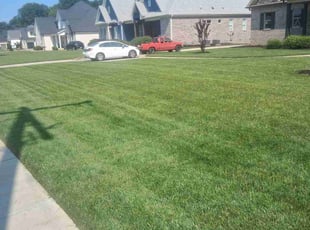 Katie P.'s grass cutting service result