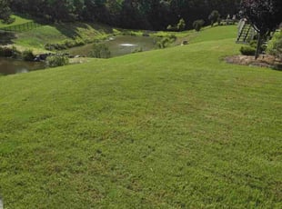 Coleman b.'s turf maintenance service result