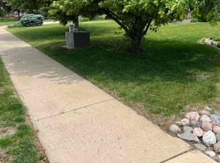Sonia B.'s lawn care service result