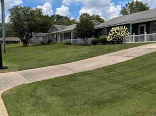 Sandra H.'s grass cutting service result