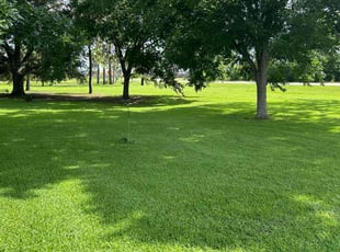 Nicole R.'s turf care service result