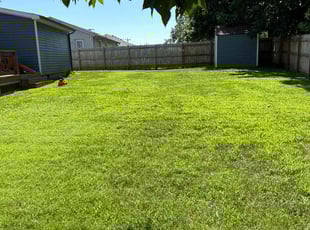 Tara M.'s gardening service service result
