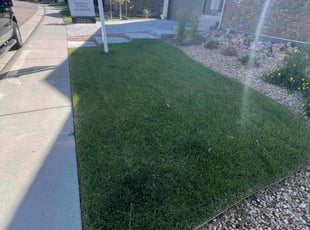 Margaret D.'s turf care service result