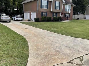 Michael H.'s turf care service result