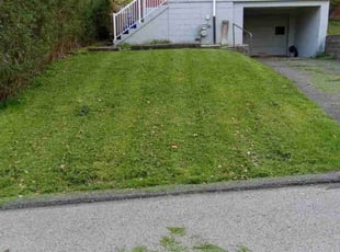 Richard C.'s turf maintenance service result