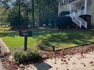 Rohit N.'s lawn maintenance service result