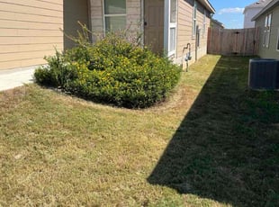 Vasil B.'s turf maintenance service result