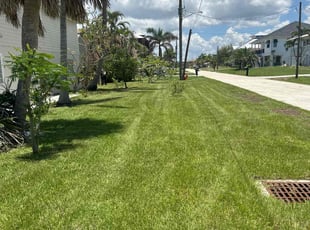 Linda C.'s lawn care service result