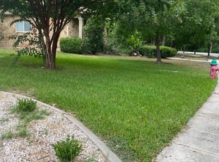 Anthony C.'s lawn service service result