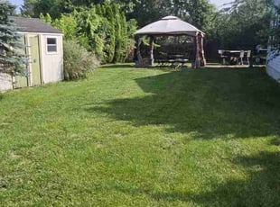 Takewa B.'s lawn care service result